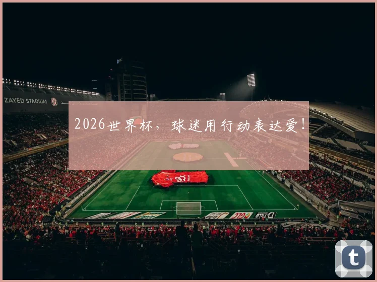 2026世界杯,球迷用行动表达爱!