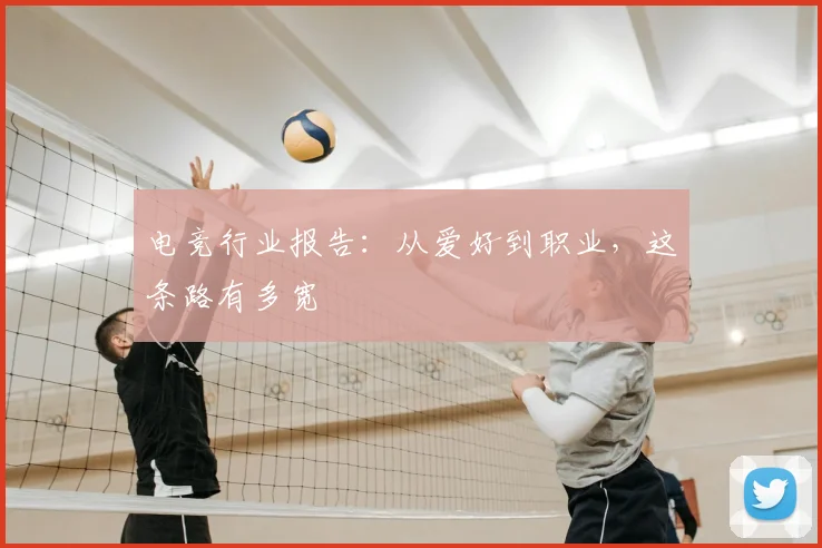 电竞行业报告:从爱好到职业,这条路有多宽
